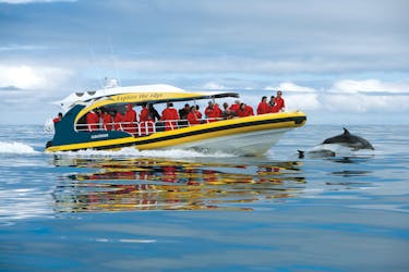 Tasman Island 3-hour wilderness cruise